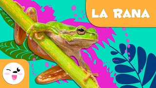 La rana 🐸 Animales para niños 🏞️ Episodio 6 [upl. by Noivaz]