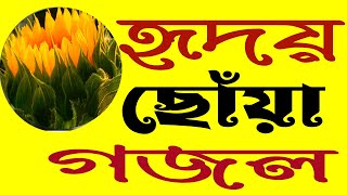 হৃদয় মাঝে গজল gojol2024 gojol 2024 ghazal 2024 ghazl [upl. by Akilaz]