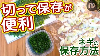 ネギの保存方法 冷蔵＆冷凍 切ったネギを上手に保存して鮮度を保つ NDKitchen Basic [upl. by Presber]