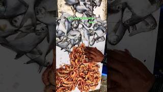 Malad fish market fish shots viralvideotending [upl. by Amadeo]