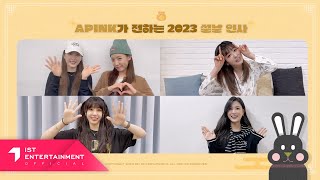 Apink 에이핑크 2023 설 인사 메시지 [upl. by Craggie]