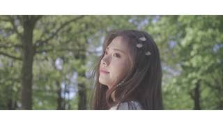 노르웨이 숲 Norwegian Wood  너는 꽃 Official Music Video [upl. by Aicirtal803]