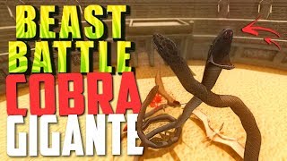 A MAIOR COBRA DO MUNDO  Beast Battle Simulator ‹ Bitgamer › [upl. by Ahsennek]