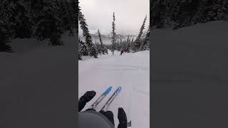 Whistler Blackcomb Skiing January 2024 [upl. by Doak]