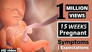 15 Weeks Pregnant Must Haves 2021  Ultrasound Dimensions [upl. by Enomrej]