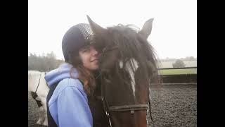 Poplars farm riding school Horses [upl. by Groome]