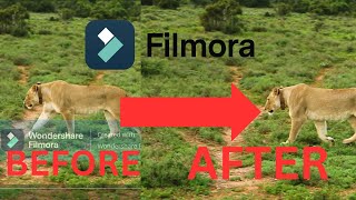 How To Remove Watermark In Filmora 13 For Free In 2024 [upl. by Tannie]