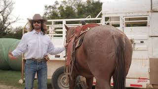 Dale Brisby—Its Cool to be Cowboy [upl. by Eizzik]