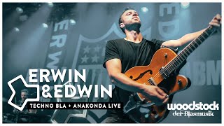 Erwin amp Edwin  Popcorn amp Anakonda Live am Woodstock [upl. by Tallbott311]