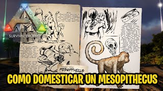 Cómo domesticar tamear un MESOPITHECUS en ARK Survival Evolved 2020 [upl. by Arratal]