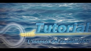 TUTORIAL  Linnesco del cannolicchio  Sub ITAEN [upl. by Aitsirk]