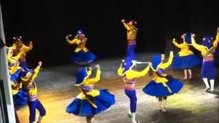 Danza Bolivia llamerada [upl. by Rodmun]