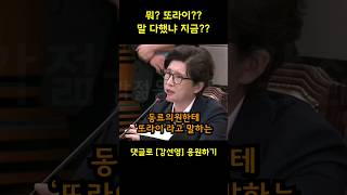 강선영 장군이 또라이 민주당 막말에 전투력 상승한 강선영 의원 quot손가락질 하지마quot [upl. by Odom]