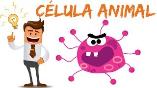 Célula Animal  Vídeo Aula [upl. by Repsag]