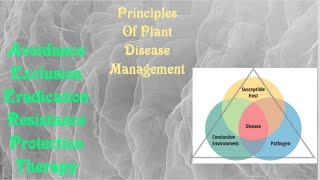 Causes of Plant Diseases  BSc Agriculture  Fundamentals of Plant Pathology [upl. by Ablasor]