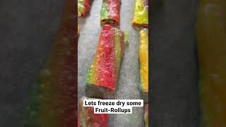 Freeze Dried Fruit Rollups [upl. by Swagerty]