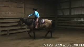 RayLena Bevington amp Katori Dunit Slick Ranch Rail Pleasure Equitation 3amp9 [upl. by Bernita]