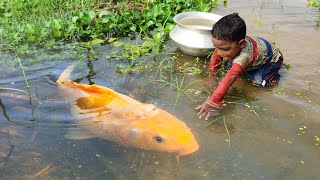 Amazing Hand Fishing  Smart Boy Catching Fish by Hand  Traditional Hand Fishing Video [upl. by Naneik628]