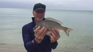 Dromana beach fishing for bream [upl. by Kerril]