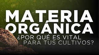 Materia orgánica Claves para un suelo más saludable [upl. by Lerner]