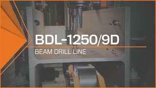 BDL12509D Beam Drill Line Heavy Duty Steel Beam Processing [upl. by Eralcyram]