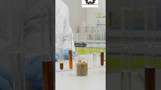 How does catalyst increase👍 the rate of a reactionchemistry support shorts [upl. by Adirf]