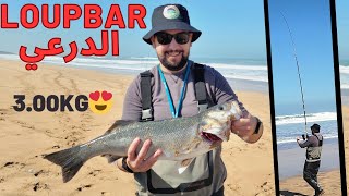 الدرعي 🐟 بتقنية السورفكاستينغ 🎣 مع المونطاج 🌞🌊🔥 [upl. by Aubrie]