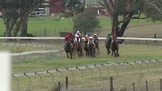 Gulgong 09 06 2024 Race 5 [upl. by Nnylarak486]