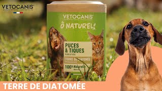 terre de diatomée antiparasitaire chien chat [upl. by Drwde]