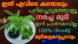 100 natural hair dye പറിച്ചെറിയുംമുമ്പ് ഒന്ന് കണ്ടു നോക്കൂ മൊട്ടത്തലയിലും മുടിവളരും കട്ടകറുപ്പാവും [upl. by Ainesell]