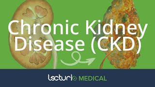 Chronic Kidney Disease CKD Causes  Nephrology [upl. by Notyrb349]