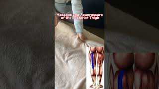 Massage and Acupressure of the Posterior Thigh massage [upl. by Enilrahc60]