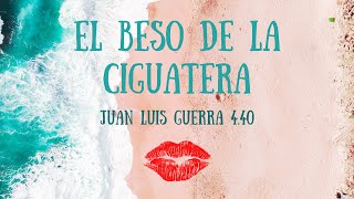 Yas Cepeda  El Beso De La Ciguatera feat Juan Luis Guerra 440  Radio Edit [upl. by Rma748]