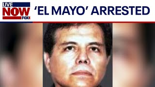 Mexicos Sinaloa cartel leader El Mayo arrested in US  LiveNOW from FOX [upl. by Cyn292]