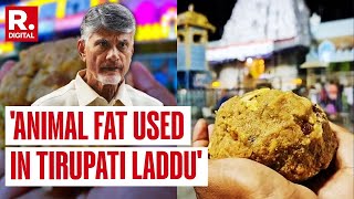 Tirupati Laddu Row Chandrababu Naidu Claims Animal Fat And Fish Oil Is Used In Tirupati Laddus [upl. by Martha337]