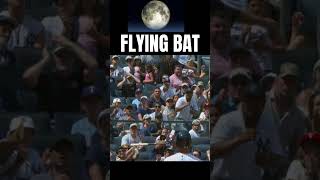 Bat Flies into The Stands shorts baseballclassic sports [upl. by Ludwigg]