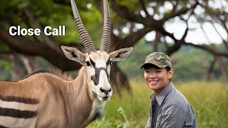 Incredible Gemsbok Herd Footage South Africa [upl. by Ehr528]