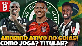 💚🔥 ATACANTE NEGOCIA COM O GOIÁS PARA A SÉRIE B ATUALIZAÇÃO MERCADO DA BOLA E DESTAQUES NA SÉRIE C [upl. by Bandler]