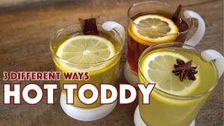 🔞 Testing 3 HOT TODDY Cocktail Recipes For Fall amp Winter [upl. by Icnan]