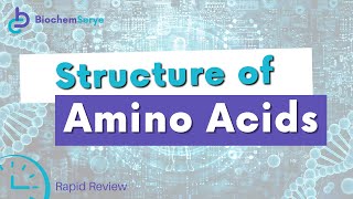 Structure of Amino Acids  Biochemistry [upl. by Alocin]