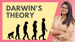 Darwins Theory of Evolution Natural selection Survival of the fittest Class 10 HINDI [upl. by Enelrahs]