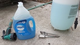 IMPROVED Soapy Water Insecticide Spray Dawn Dish Soap [upl. by Anesor749]