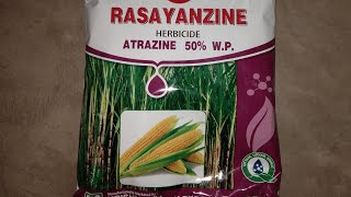 Atrazine 50 W P Herbicide For Bajra Mazecorn [upl. by Thorndike172]