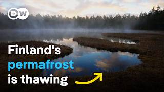 Melting wetlands  How can nature slow down climate change  DW Documentary [upl. by Ehrsam]