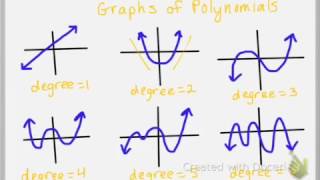 Introduction to Polynomial Functions [upl. by Aymik]