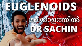 euglenoids class 11  malayalam  biological classification class 11  plus one  kingdom protista [upl. by Nezah]