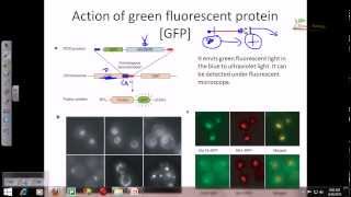 Plant biotechnology 3 [upl. by Daenis]