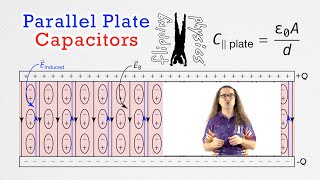 Parallel Plate Capacitors [upl. by Nawtna210]