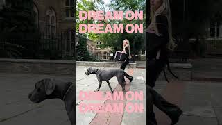 Dream On with Lottie Moss [upl. by Garber]