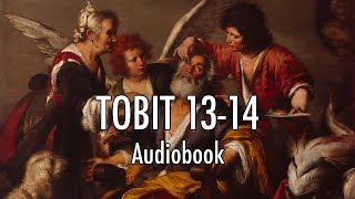 Tobit 1314 Audiobook  Narrated by Eric Rolon [upl. by Herstein]